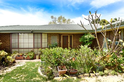 Property photo of 42 Kingfisher Avenue Ballajura WA 6066