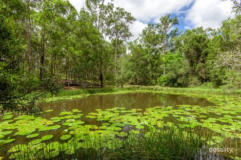 Property photo of 561 McIntosh Creek Road McIntosh Creek QLD 4570