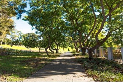 Property photo of 3 Lupin Hill Grove Nedlands WA 6009