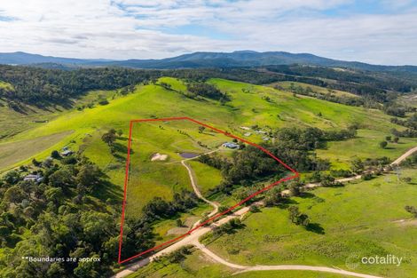 485 Pericoe Rd, Towamba, NSW 2550