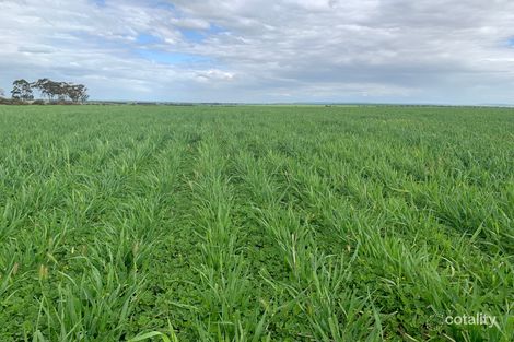 189 Powerline Rd, Brinkworth, SA 5464