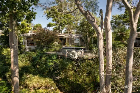 Property photo of 290 Jesmond Road Fig Tree Pocket QLD 4069