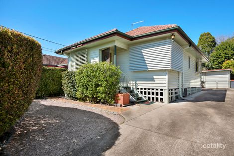 Property photo of 51 Dahlia Street Cannon Hill QLD 4170