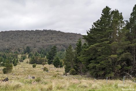 117 Ribbon Gum Rd, Krawarree, NSW 2622