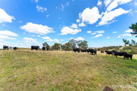 Property photo of 537 Redground Road Crookwell NSW 2583