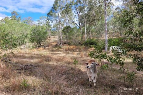 Property photo of 183 Dawsons Road Berajondo QLD 4674