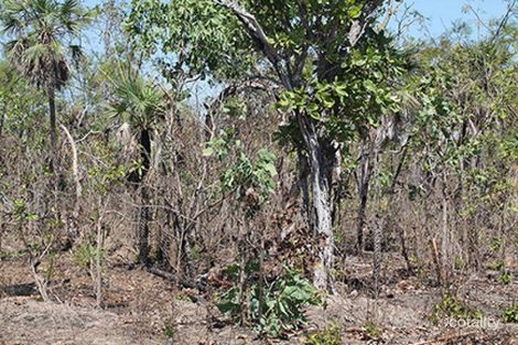 Property photo of 55 Milne Road Bynoe NT 0822