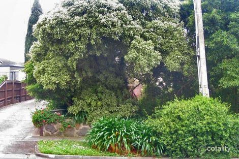 19 Begonia St, Box Hill South, VIC 3128