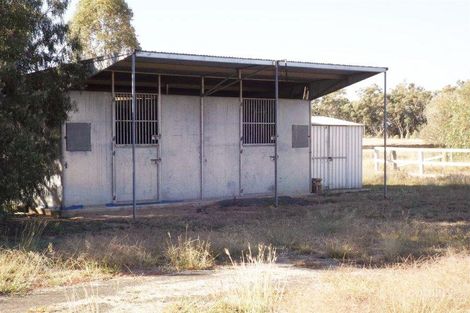 Property photo of 299 Northern Road Roma QLD 4455