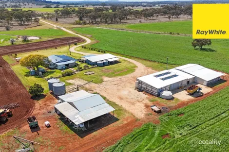 11 Delungra Bypass Rd, Delungra, NSW 2403
