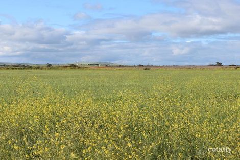 Property photo of 995 Balaklava Road Bowmans SA 5550