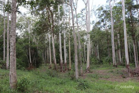 Property photo of 247 Gardner Road North Deep Creek QLD 4570