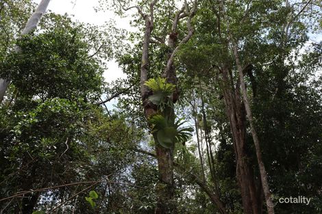 Property photo of 247 Gardner Road North Deep Creek QLD 4570