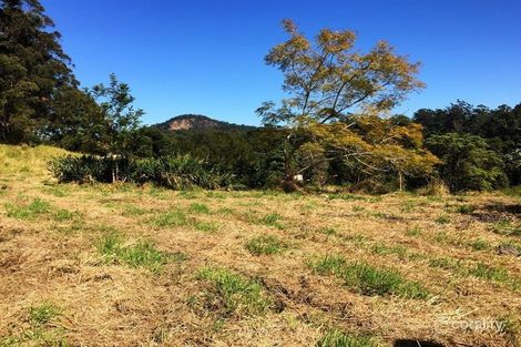 818 Blue Knob Rd, Blue Knob, NSW 2480