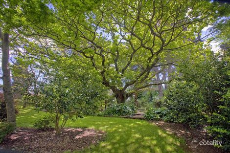 Property photo of 22 Tamarind Avenue Dorrigo NSW 2453