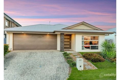 113 Watheroo St, South Ripley, QLD 4306