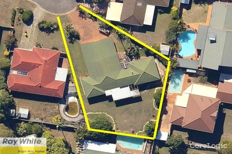 Property photo of 18 Petrina Street Eight Mile Plains QLD 4113