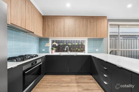 Property photo of 19 Esquire Circuit Roseworthy SA 5371