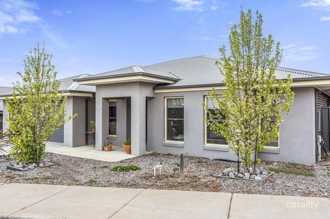 Property photo of 9 Riversdale Avenue Eaglehawk VIC 3556