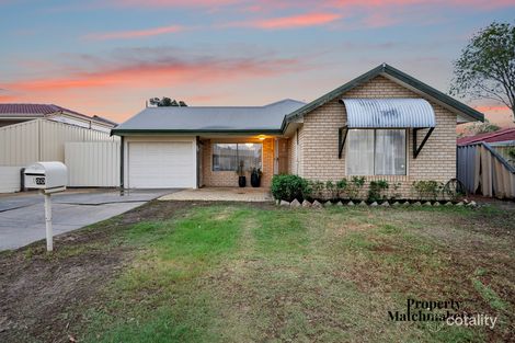 20 Bosberry Rtt, Mirrabooka, WA 6061