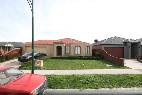 87 Victoria Knox Ave, Rowville, VIC 3178