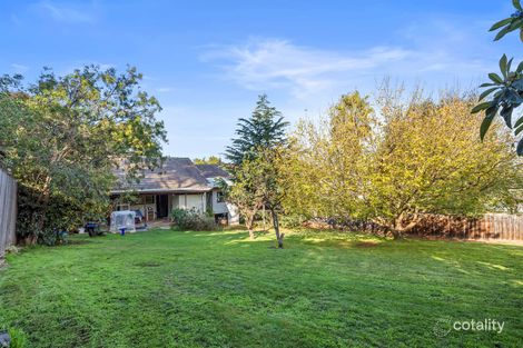 Property photo of 19 Clifton Street Aberfeldie VIC 3040