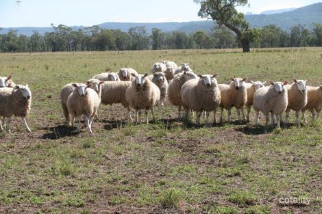 2138 Maules Creek Rd, Tarriaro, NSW 2390