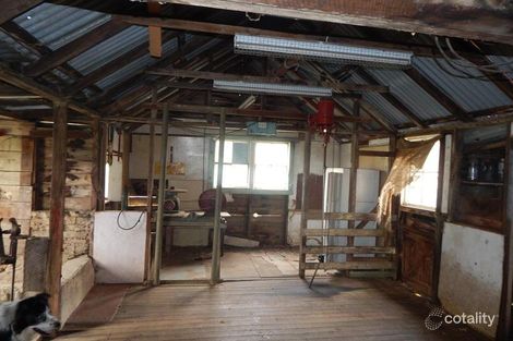 Property photo of 2319 Dry Plains Road Dry Plain NSW 2630