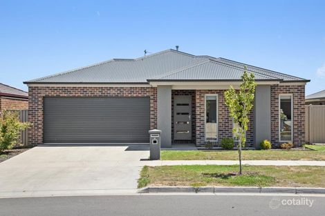 Property photo of 16 Seaford Street Alfredton VIC 3350