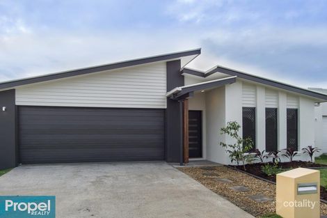 Property photo of 16 Bourke Crescent Nudgee QLD 4014