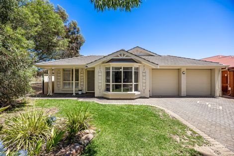 Property photo of 97 Osborn Terrace Plympton SA 5038