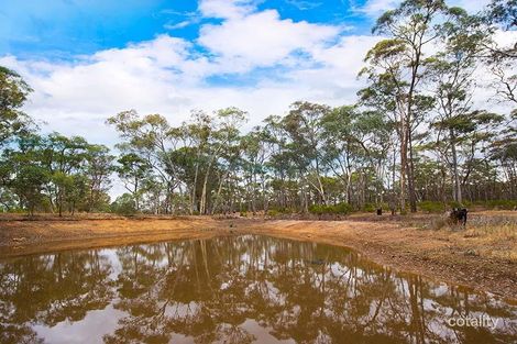 Property photo of 915 Fogartys Gap Road Walmer VIC 3463