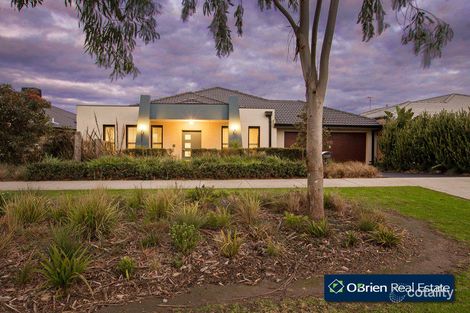 Property photo of 17 Lotus Drive Botanic Ridge VIC 3977
