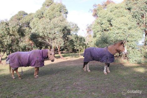 Property photo of 262 Berringa Road Berringa VIC 3351