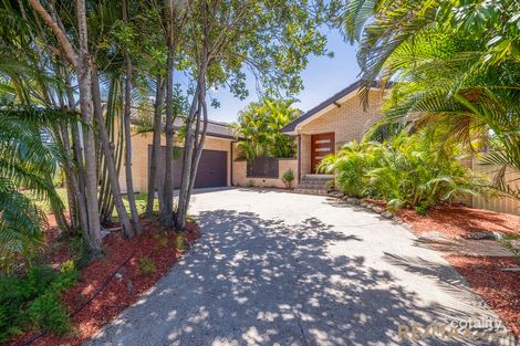 Property photo of 62 Odin Street Sunnybank QLD 4109