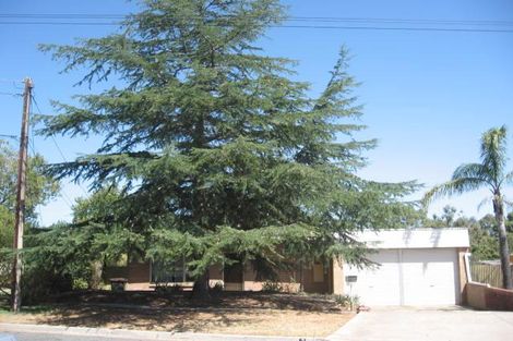 12 Waikerie Ave, Hope Valley, SA 5090