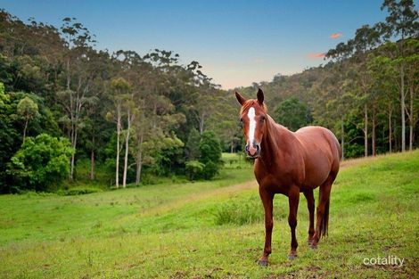Property photo of 145 Beaven Lane Jilliby NSW 2259