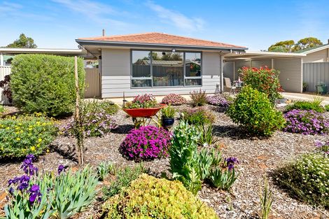 Property photo of 18 Burns Street Waikerie SA 5330