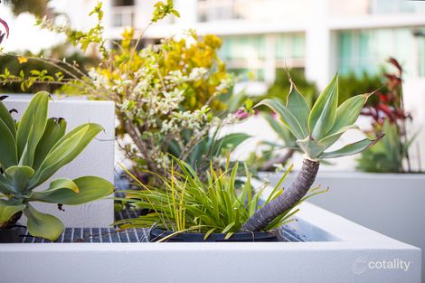 Property photo of 504/2 Nelson Street Mackay QLD 4740