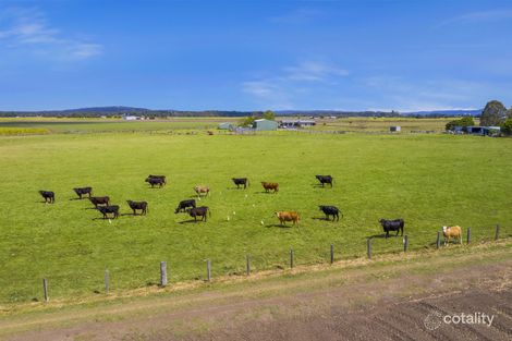 Property photo of 44 Camerons Lane Palmers Channel NSW 2463