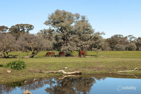 73 Murray St, Violet Town, VIC 3669