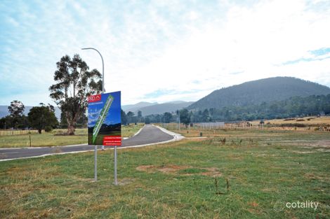 265 Back River Rd, Magra, TAS 7140