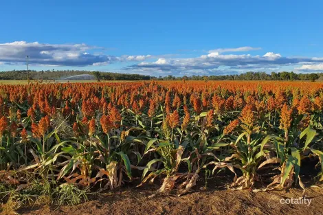 206 Mondure Crossing Rd, Glan Devon, QLD 4615