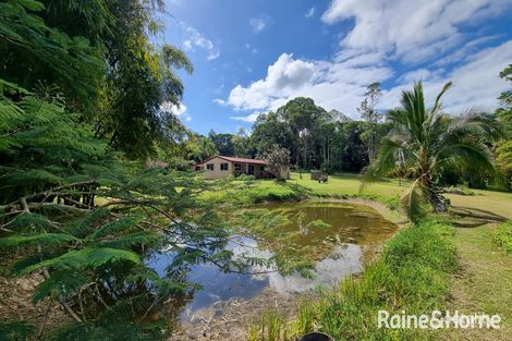 Property photo of 21 Trinity Close Julatten QLD 4871