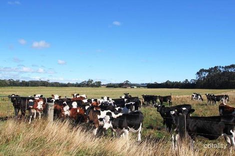 Property photo of 177 Irishtown Road Smithton TAS 7330