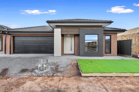 23 Ivory St, Cobblebank, VIC 3338