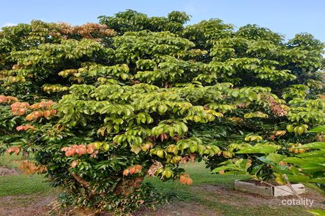 197 Midgenoo Rd, Midgenoo, QLD 4854