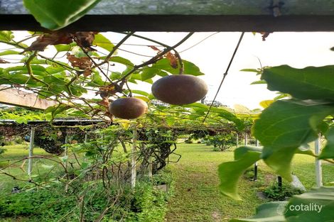 Property photo of 197 Midgenoo Road Midgenoo QLD 4854