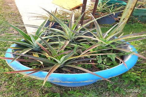 Property photo of 197 Midgenoo Road Midgenoo QLD 4854