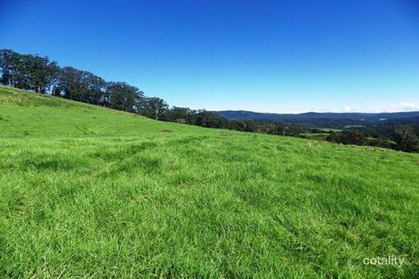 345 Paddys Plains Rd, North Dorrigo, NSW 2453